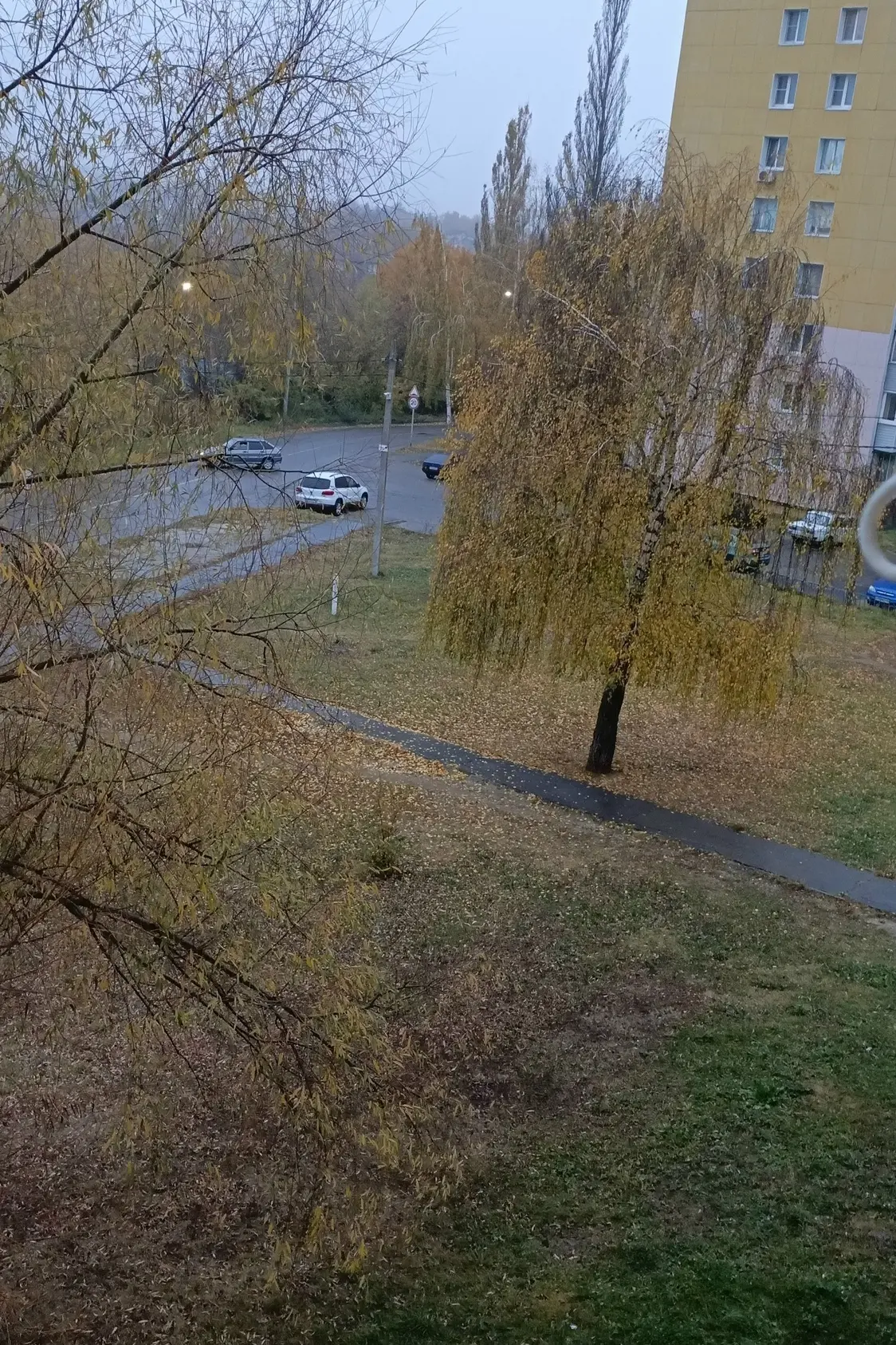 Доброе утро, Луховицы!