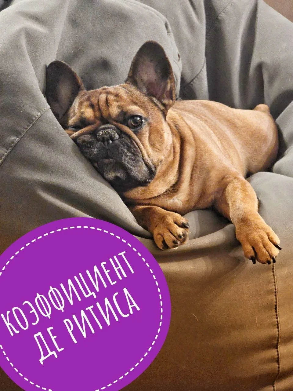 Как не мероприятие, так удивление😳