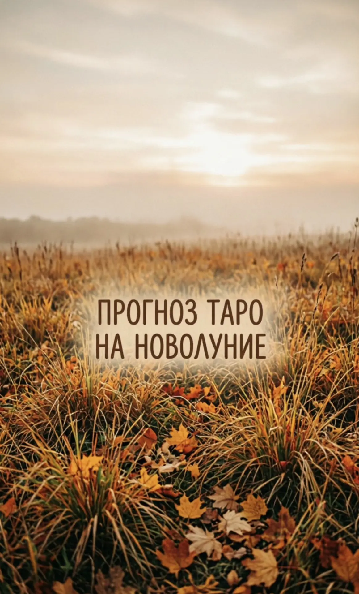 О Б Щ И Й  П Р О Г Н О З