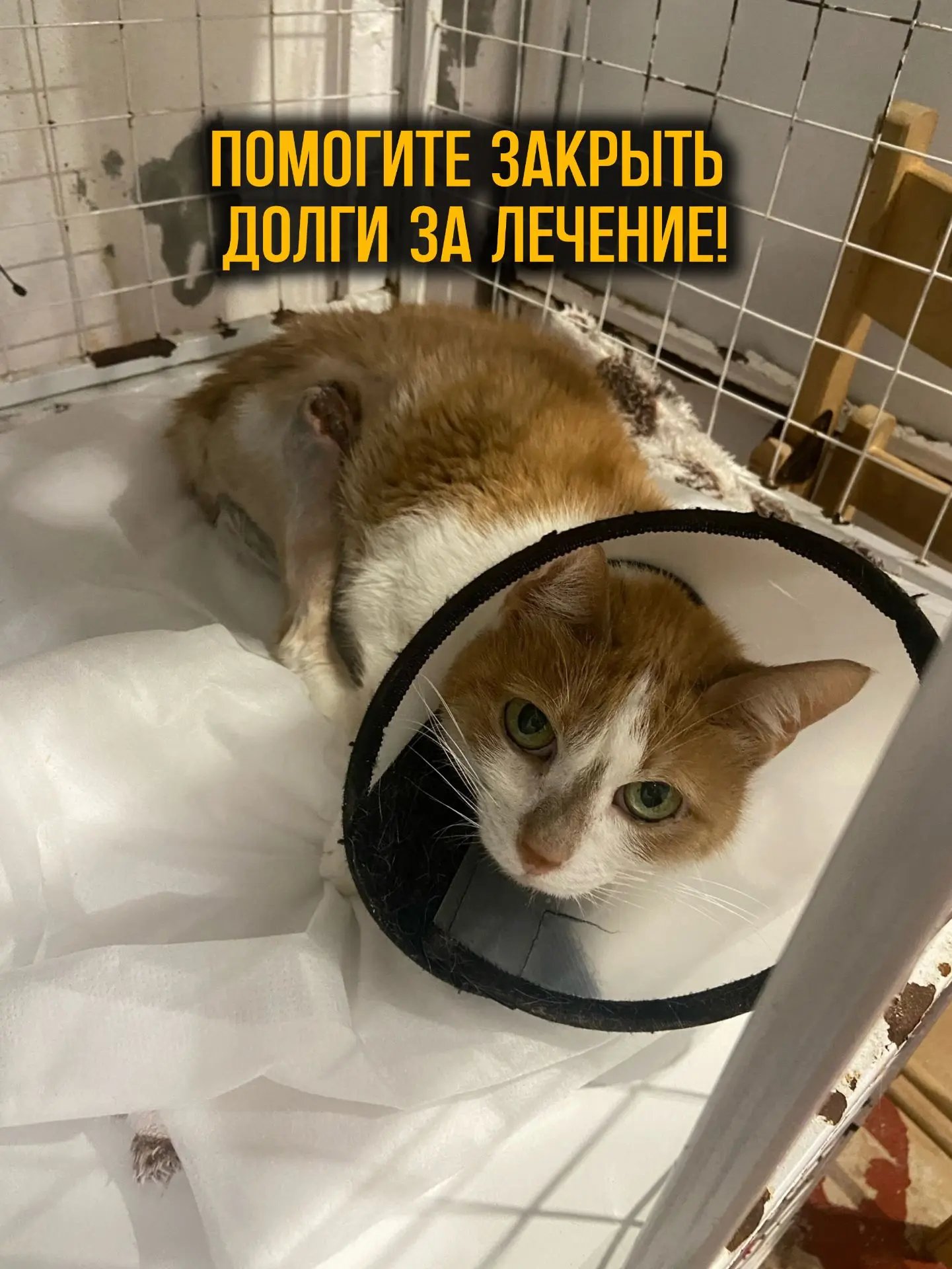 Очень нужна ваша помощь в закрытии долгов в клинике!