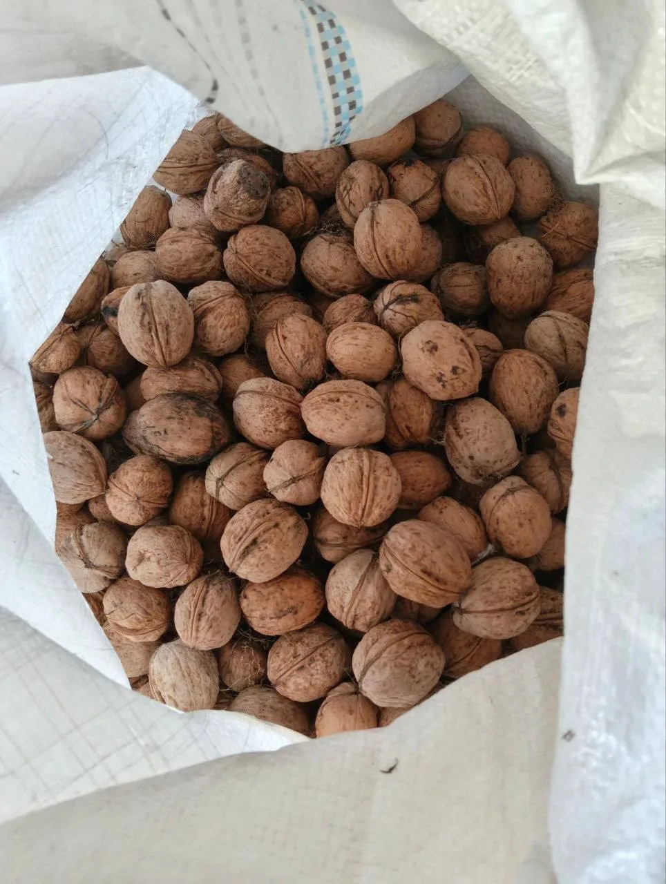 Продам свежие орехи нового урожая!