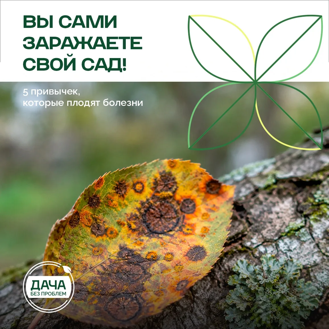 Ваш сад болеет не просто так!