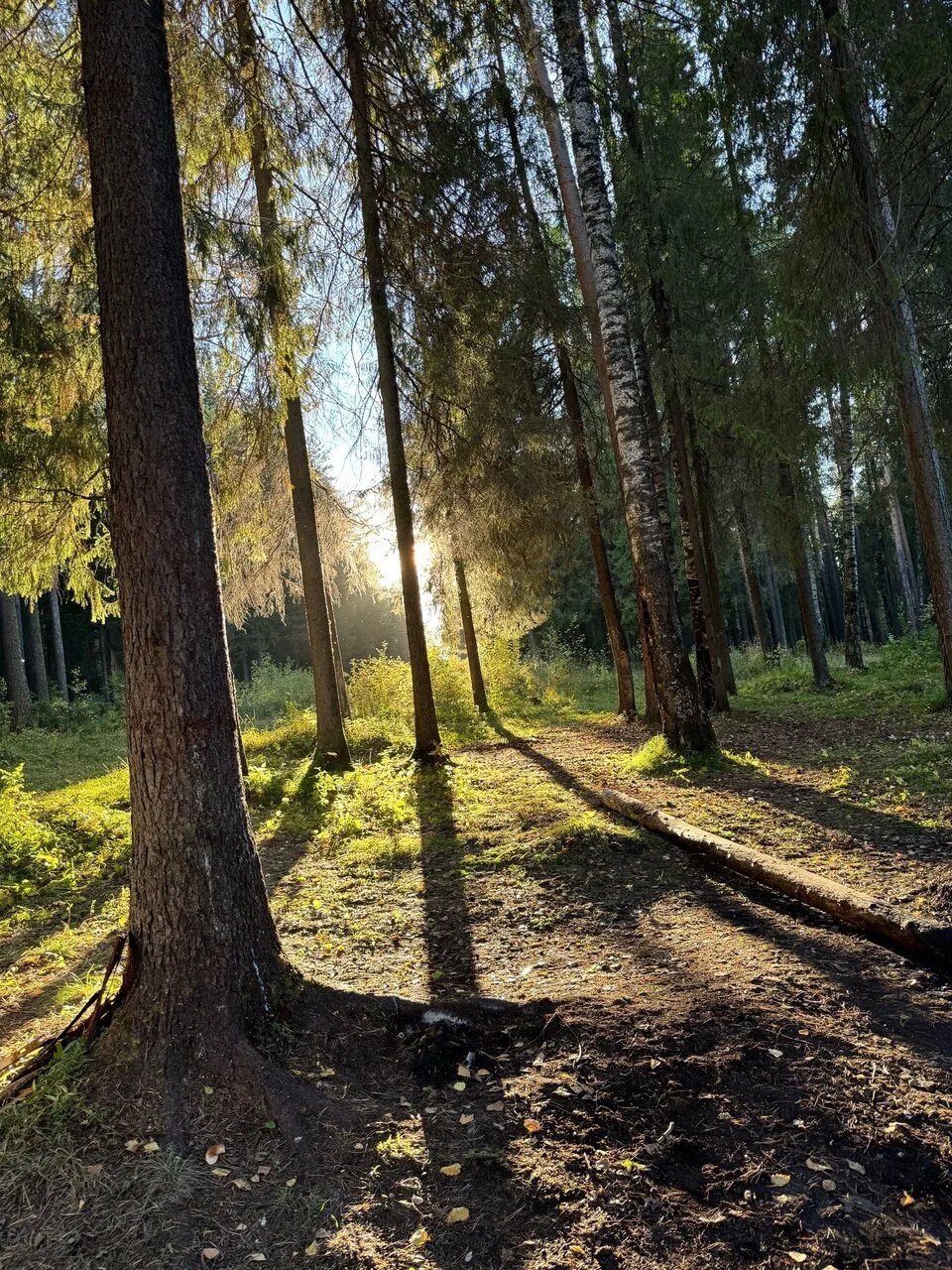 Доброе утро, Североуральск! ❤🍂