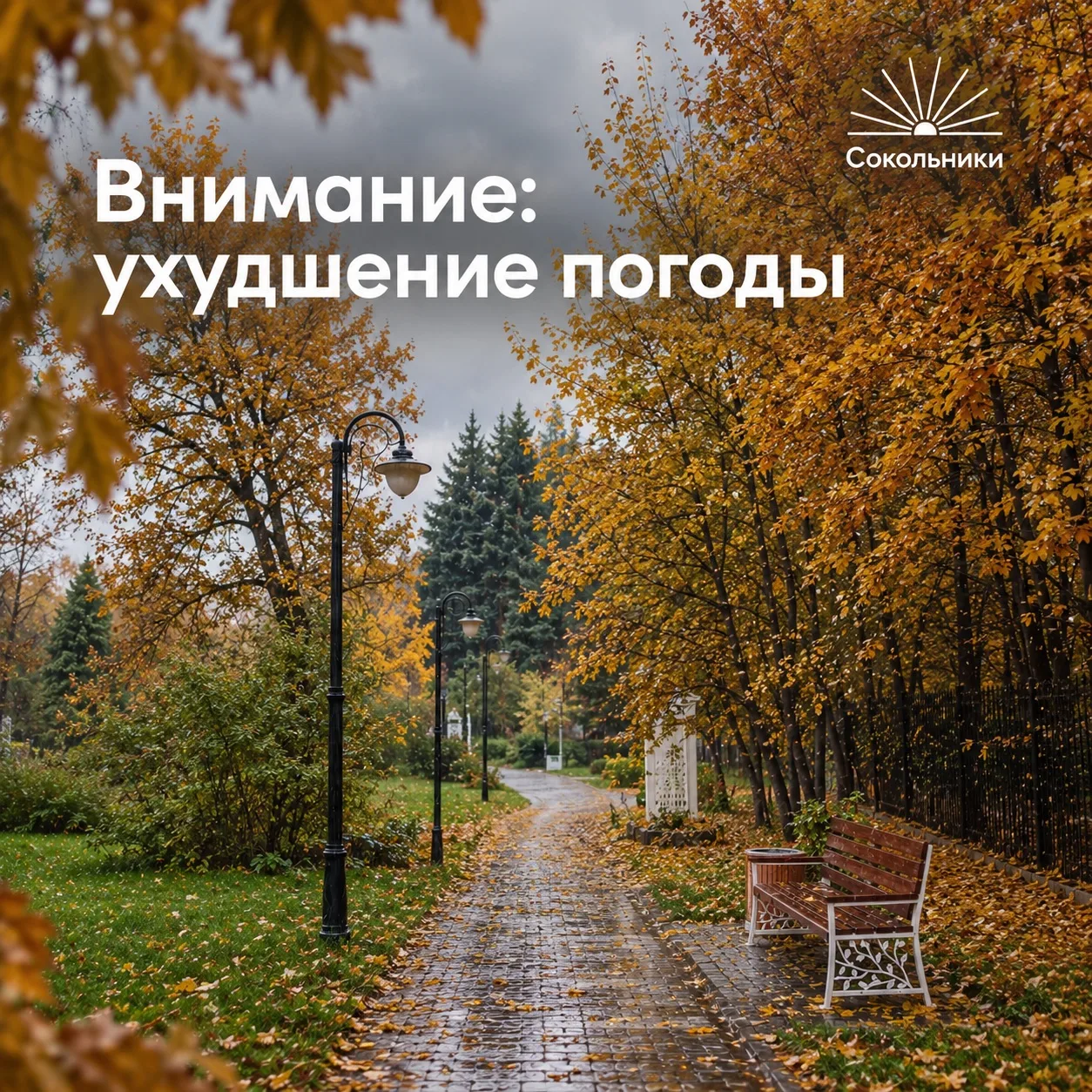 ⛈️ Друзья, сегодня в Москве ожидается усиление ветра — порывы могут достигать 17 м/с.