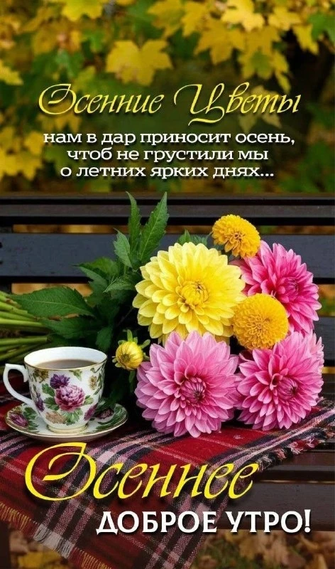 Открытки: подписаться ❤️