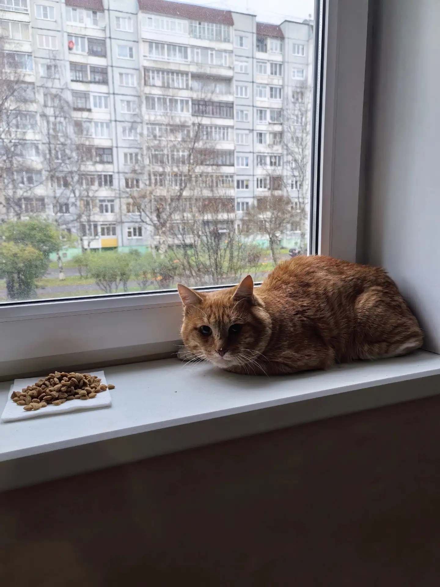 ✍Пропустите, пожалуйста, срочно!