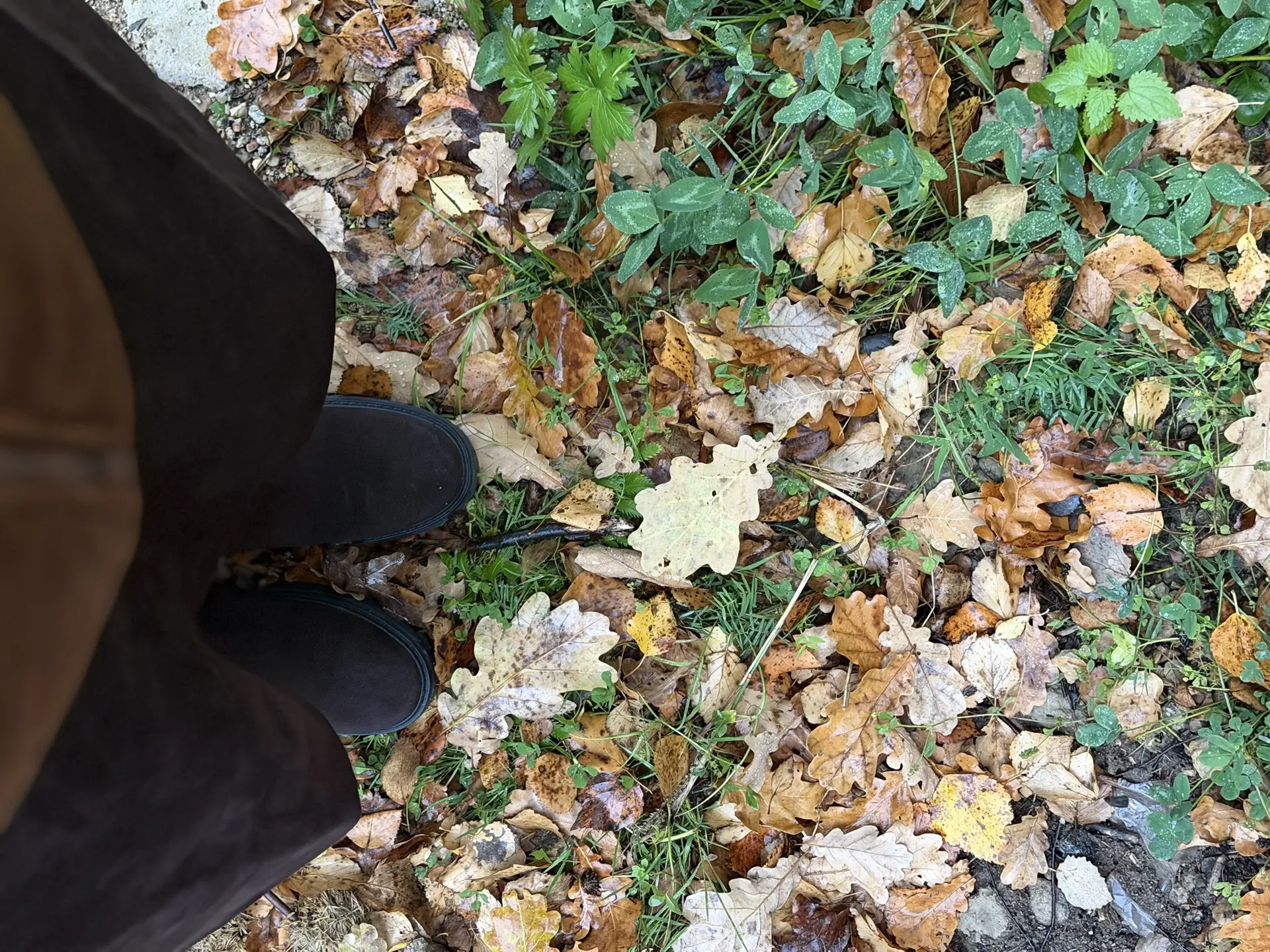 Осень, особенно такая золотая, самое любимое время года🍂