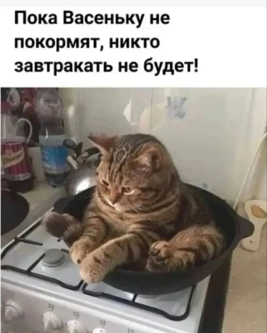 Весёлые картинки №18