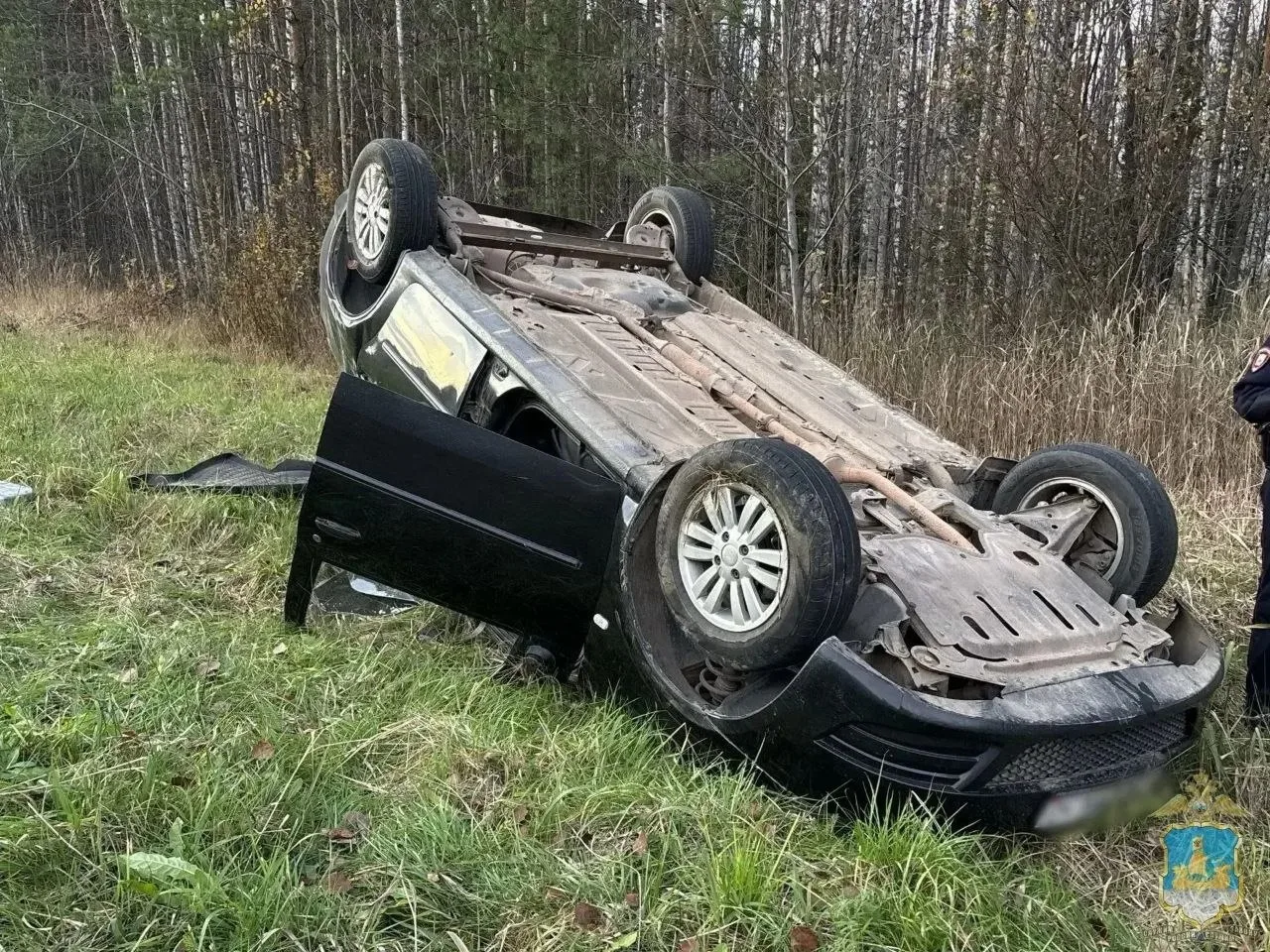 В Мантуровском районе Renault вылетел с дороги в кювет, пострадал 12-летний подросток.