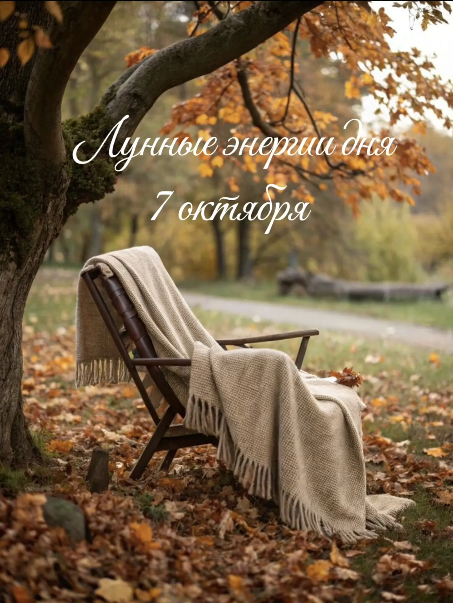7 октября. Среда.