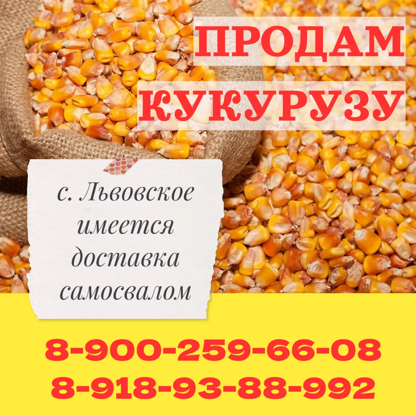 🌽Кукуруза на зерно - продажа
