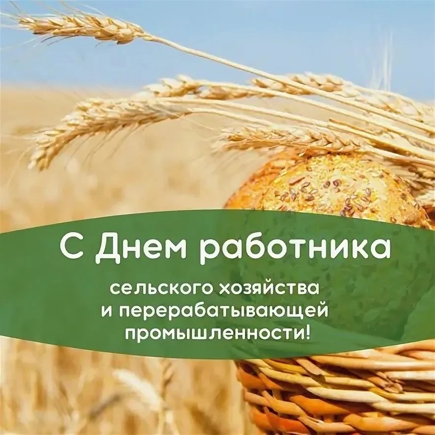 Рубрика: поздравления