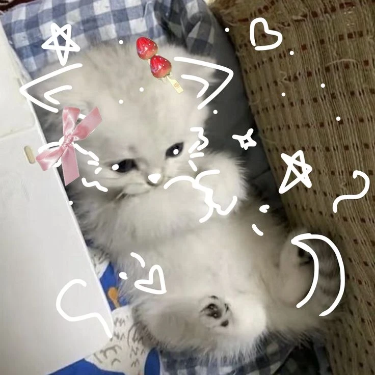 ｡ﾟ•┈୨ⲁⲃы ⲥ ⲕⲟⲧυⲕⲁⲙυ୧┈• ｡ﾟ