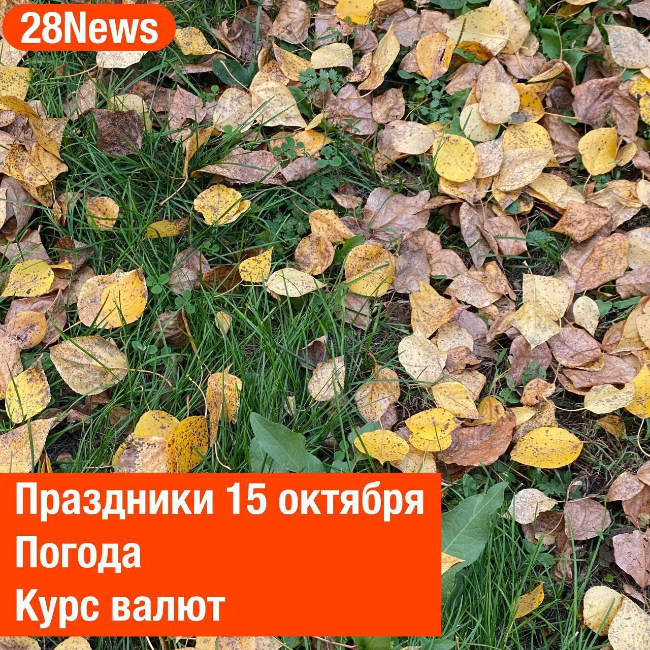 Доброе утро, Благовещенск!