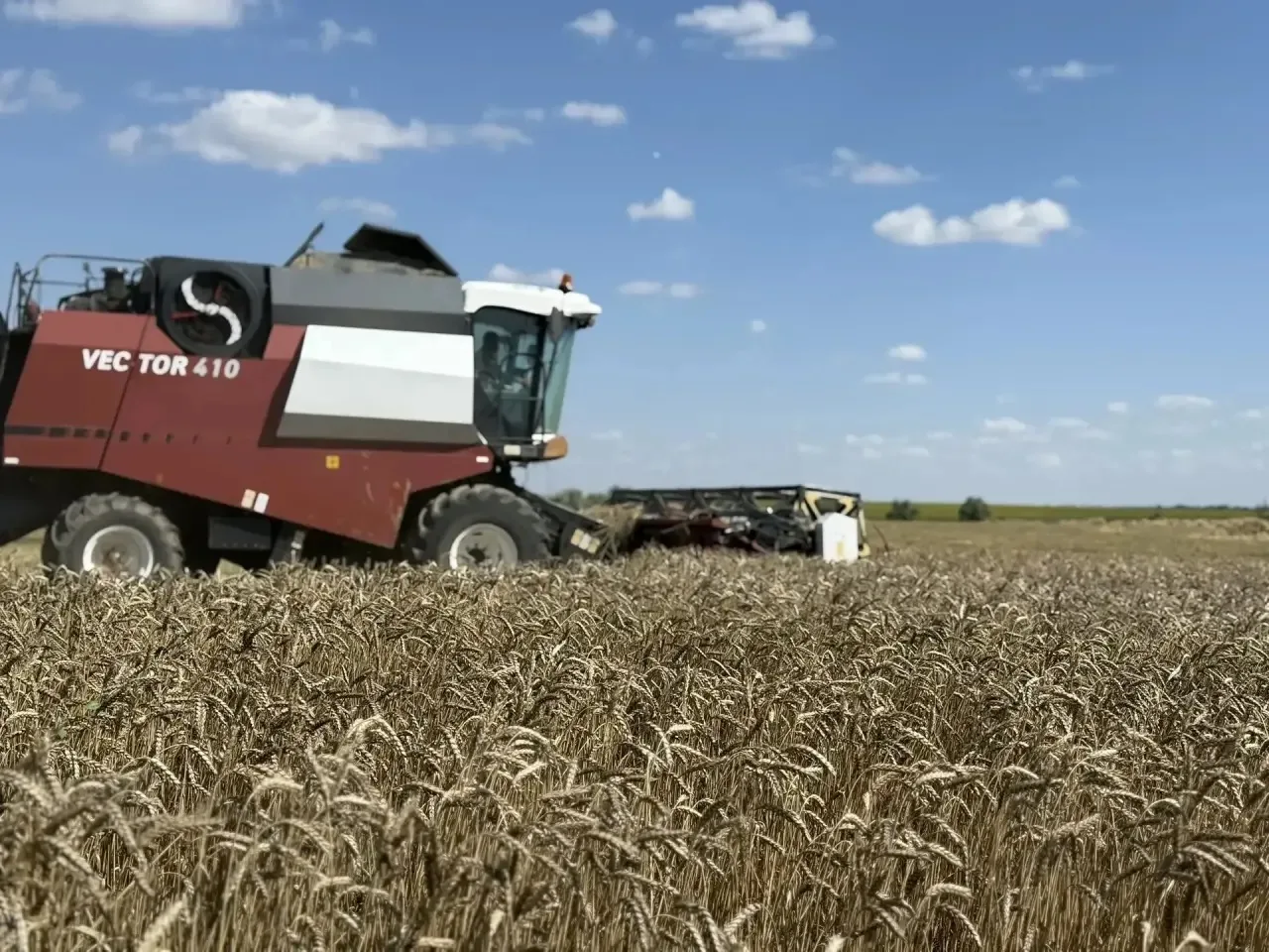 🌾Уважаемые труженики села, работники и ветераны агропромышленного комплекса района, пр...