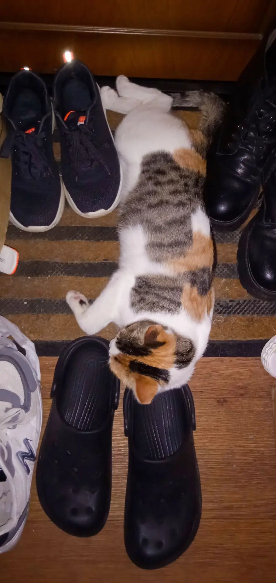 🛋️ конечно хорошо, но тут местечко ещё нелëженое.