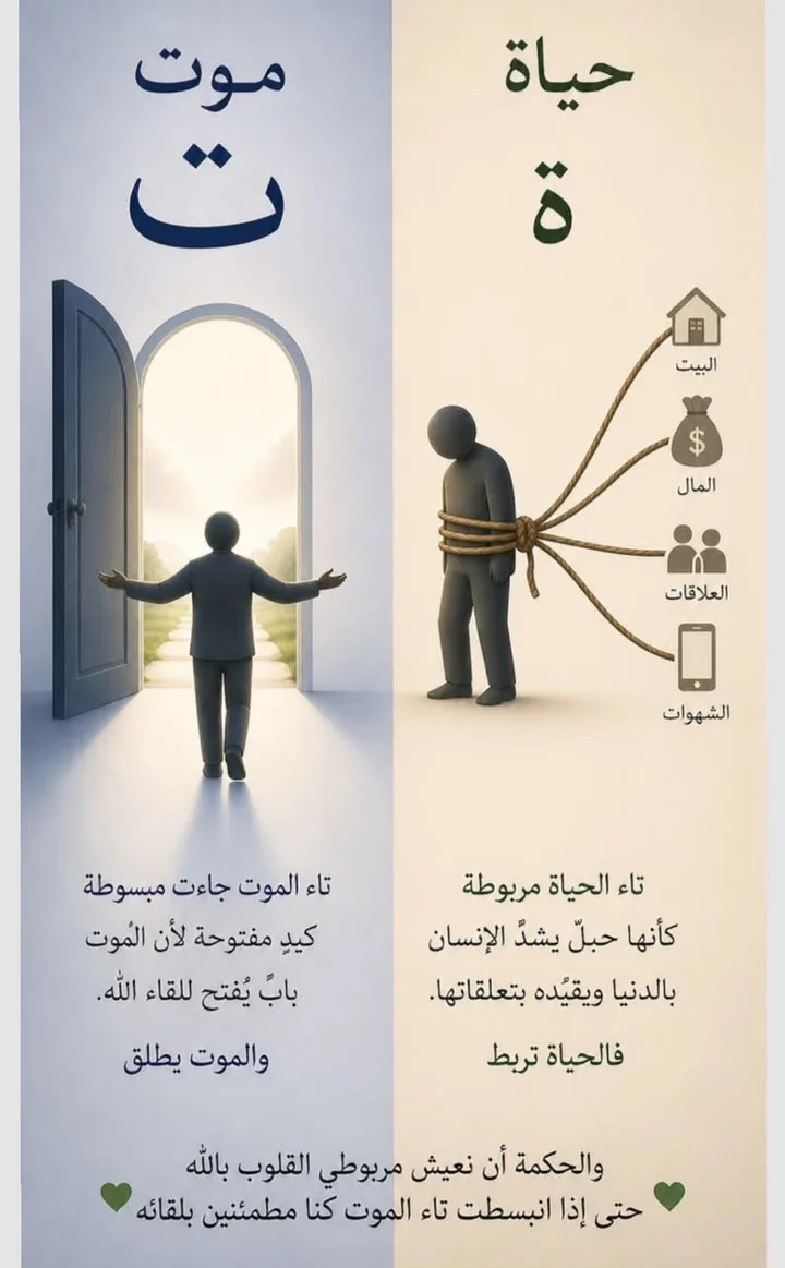 ✅Уң ягы — «Тормыш» حياة