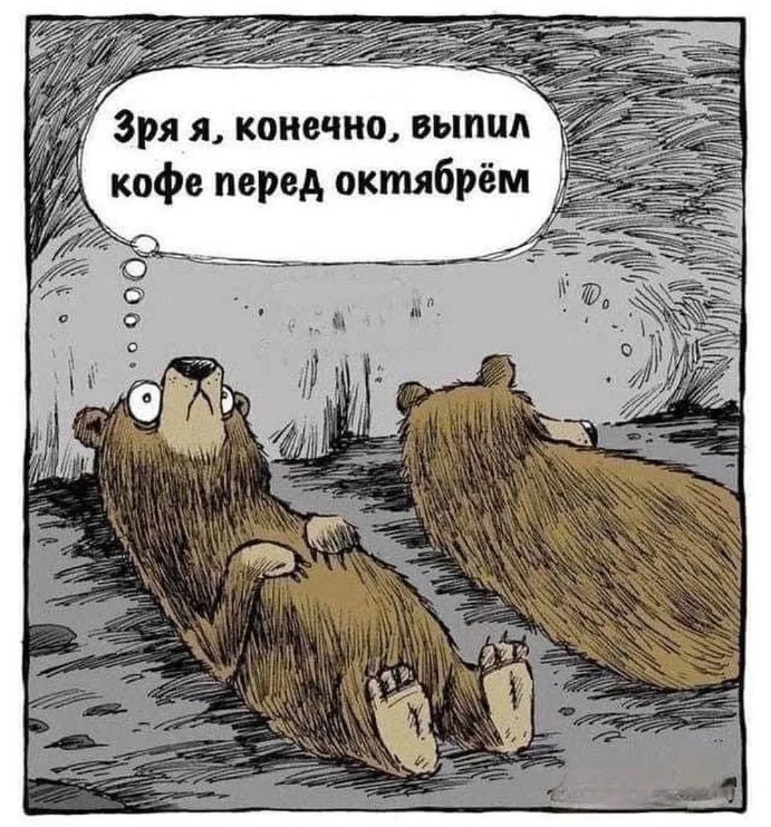 Всем спокойной ночи 😁🐻