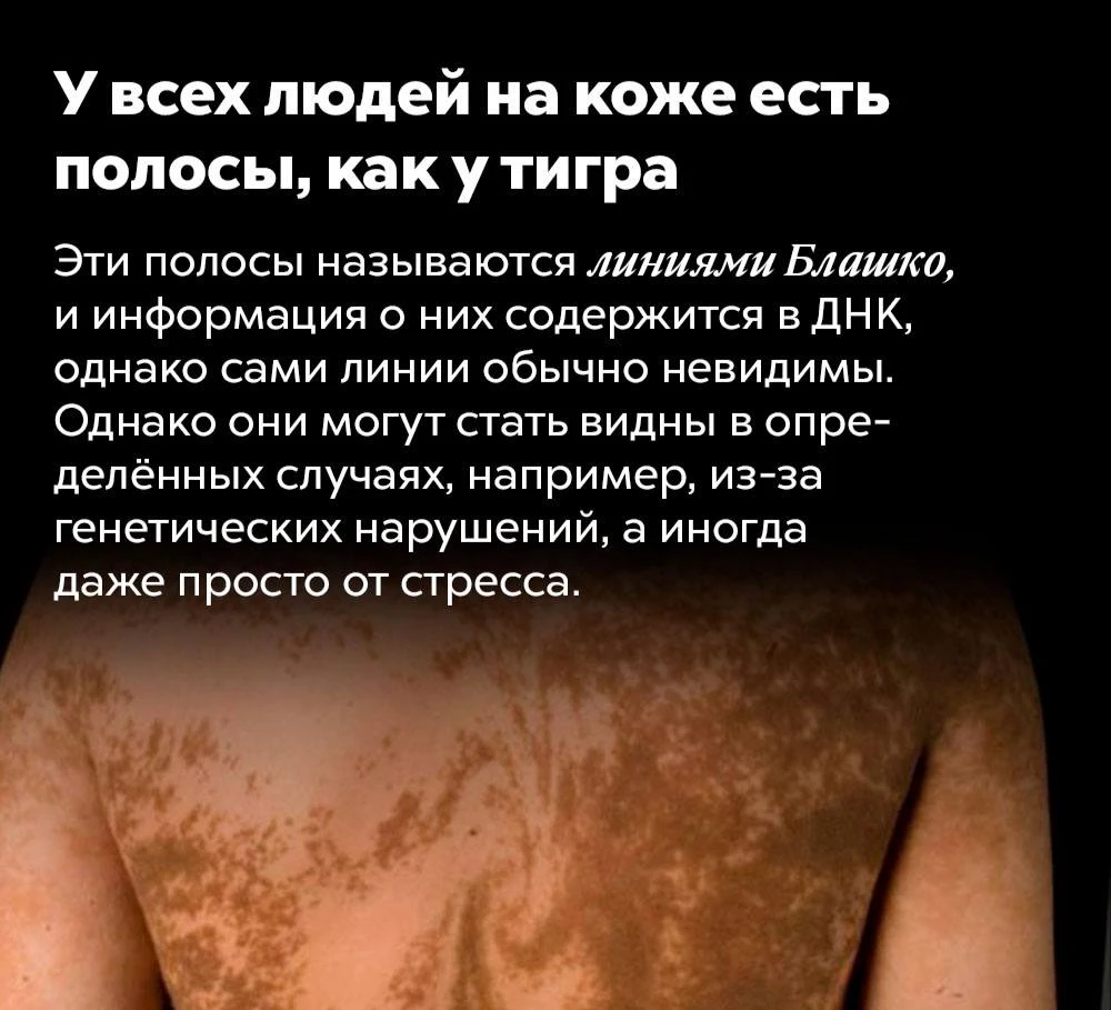 #интересный_факт
