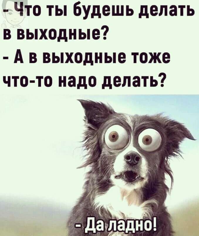 КуЗьМа в ТеМе
