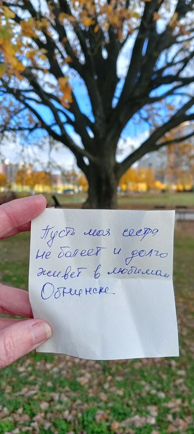 У обнинского дуба в этом году юбилей — ему 90 лет. И в честь дня рождения в администрац...