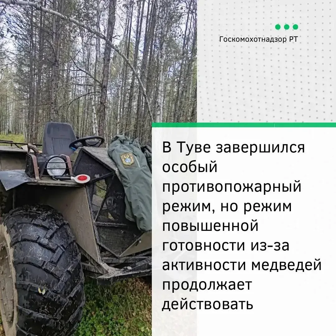 В Туве отменили противопожарный режим, но запретили ходить в лес из-за медведей
