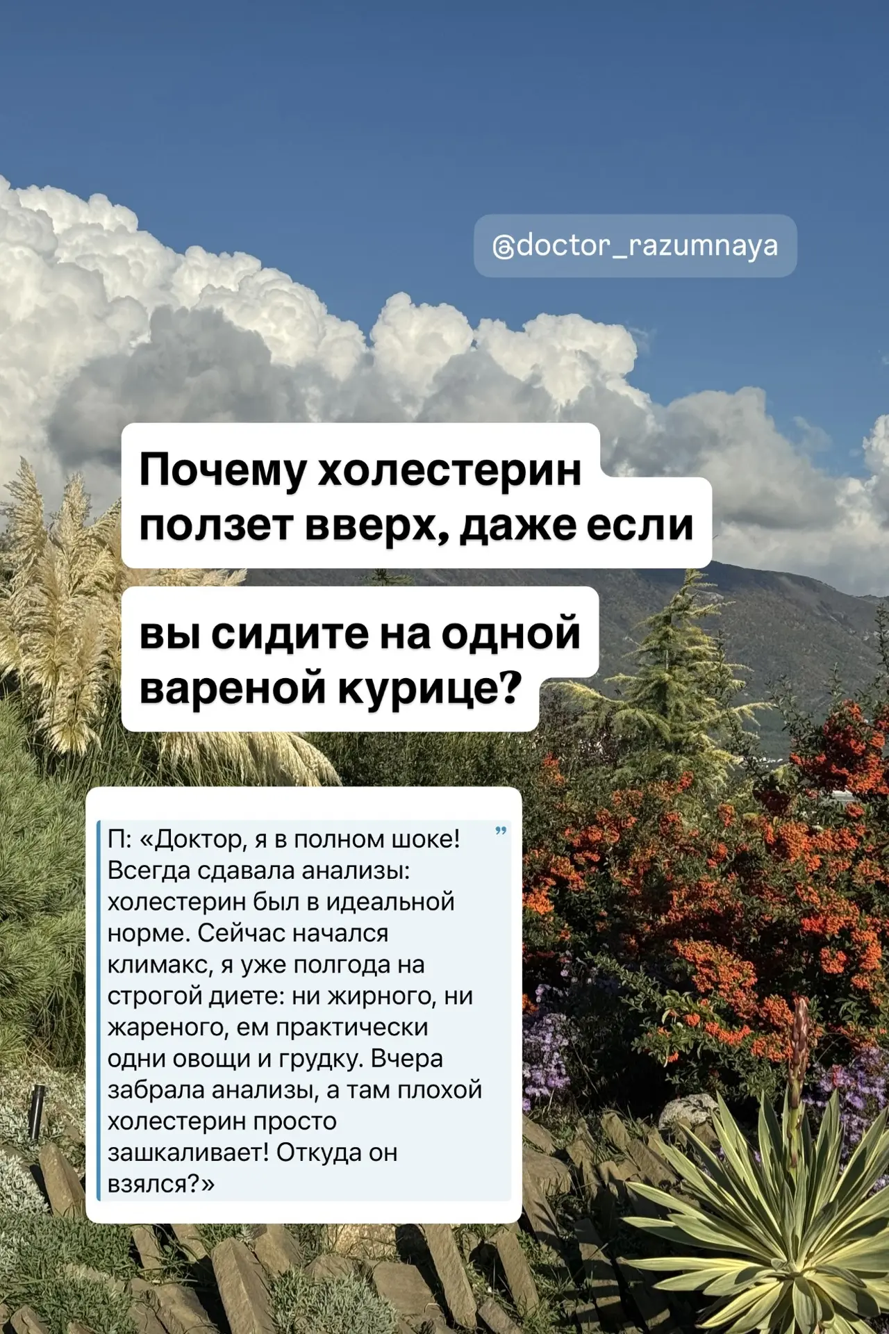 🧐 Почему холестерин ползет вверх, даже если вы сидите на одной вареной курице?