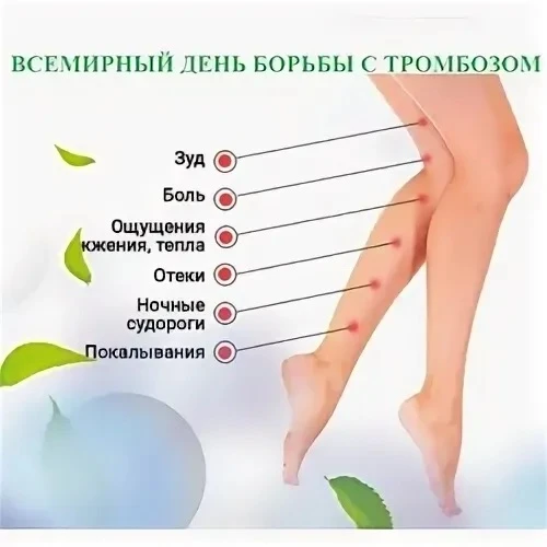 🩸Профилактика тромбоза: