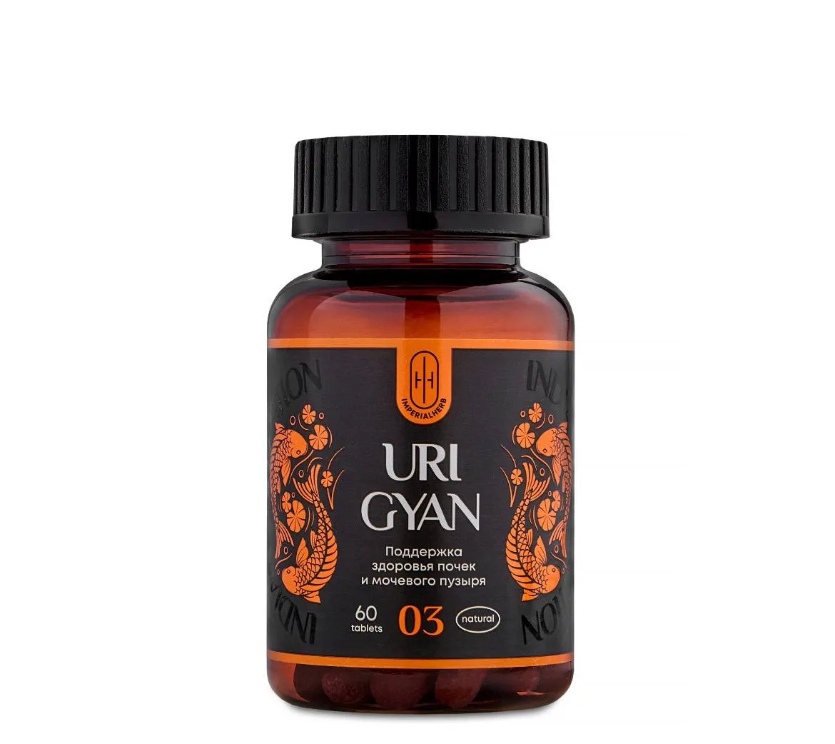 URI GYAN — поддержка почек