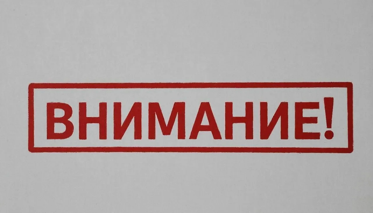 Из-за сильного ветра в Вилючинске растёт число упавших деревьев