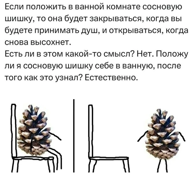 Ночной чат 💭