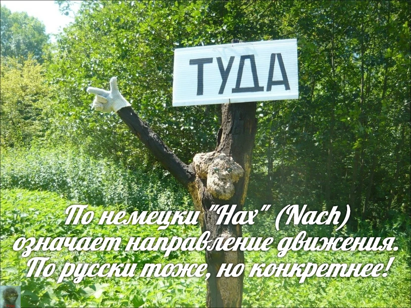 За Ежей в тумане    https://max.ru/public217562846