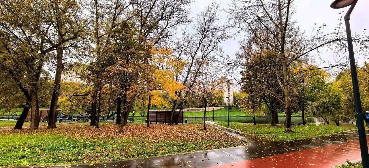 Осенняя эстетика прогулок по району от подписчика ❤