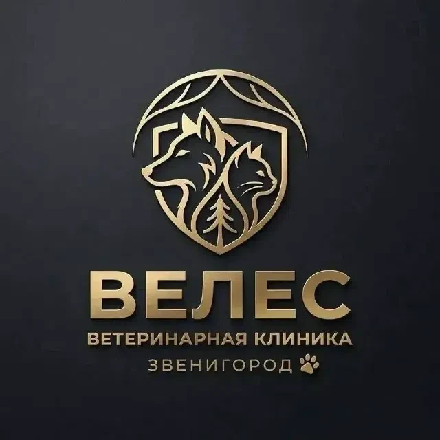 🏥 Открытие ветеринарной клиники экспертного класса «Велес» в Звенигороде