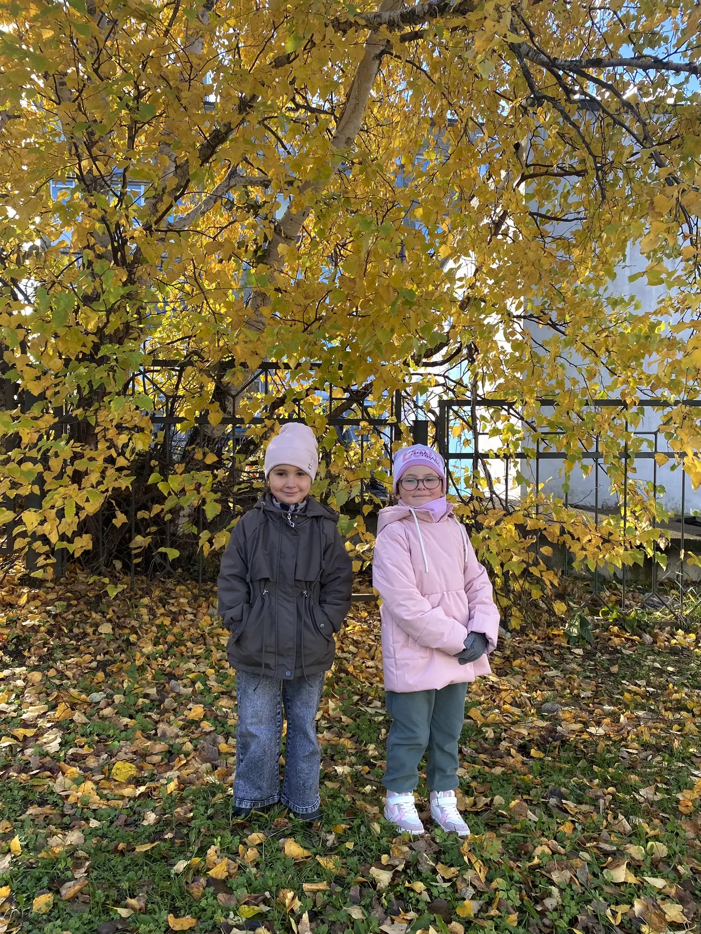 🍂 Осенняя прогулка в старшей группе!