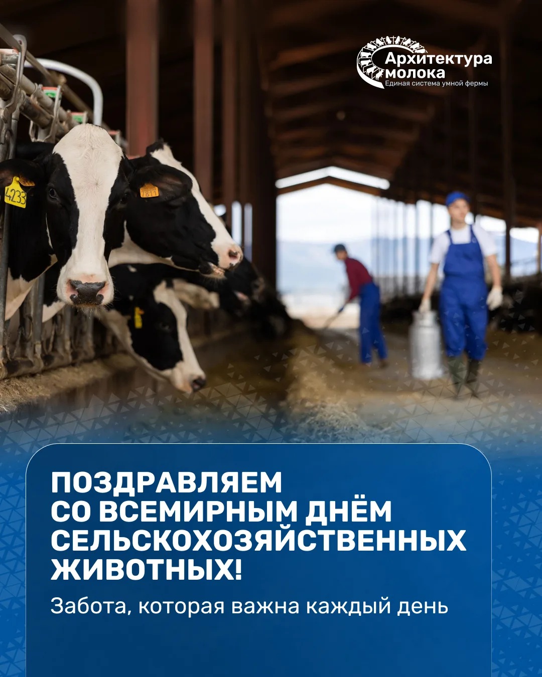 🎉 Со Всемирным днём сельскохозяйственных животных!