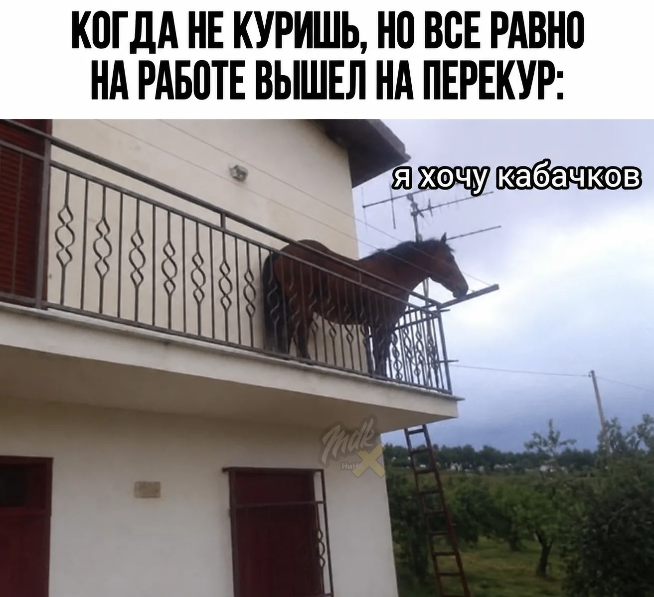 По-другому не вывезешь