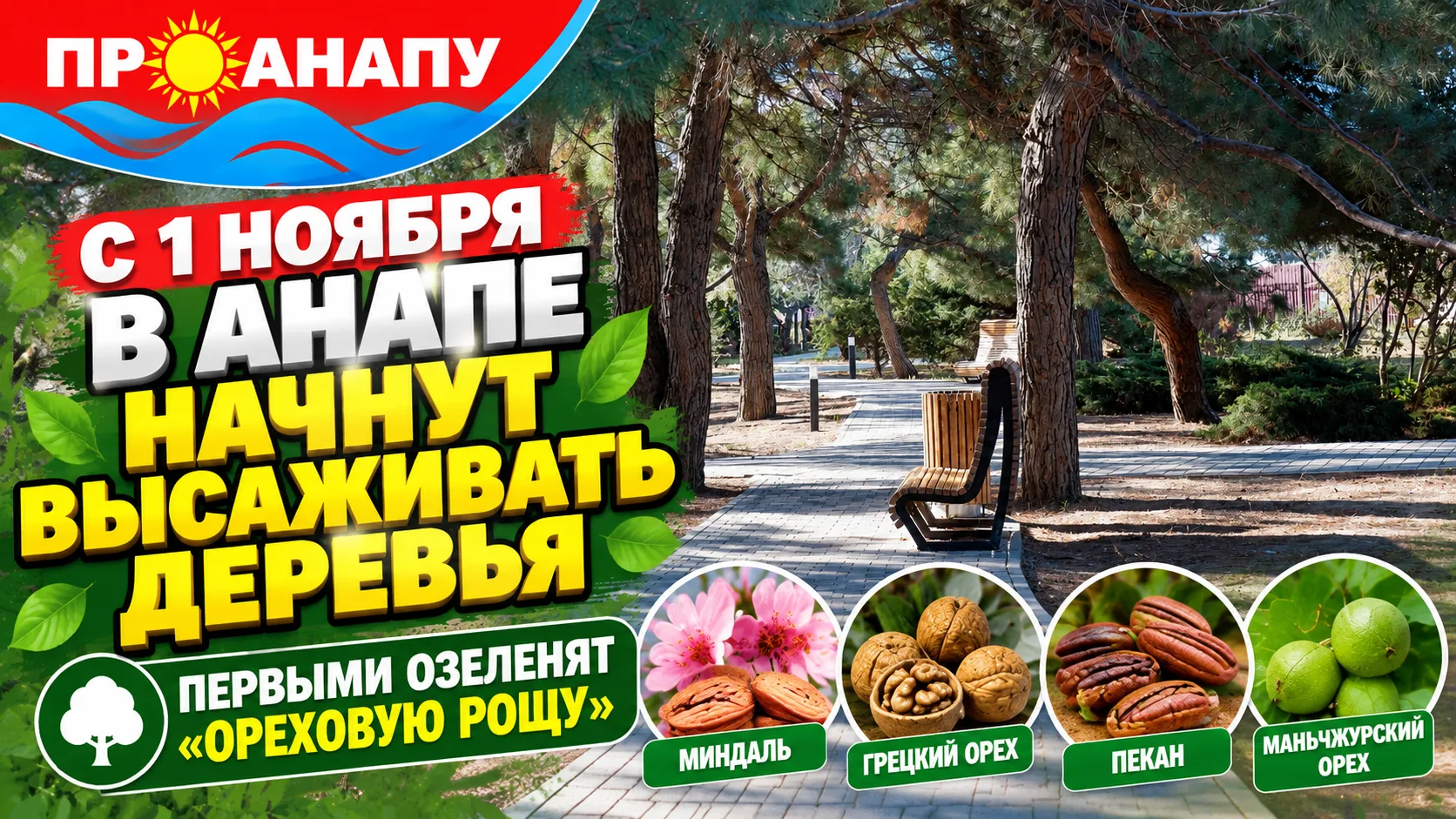 С 1 ноября в Анапе начнут высаживать новые деревья: первыми озеленят «Ореховую рощу»