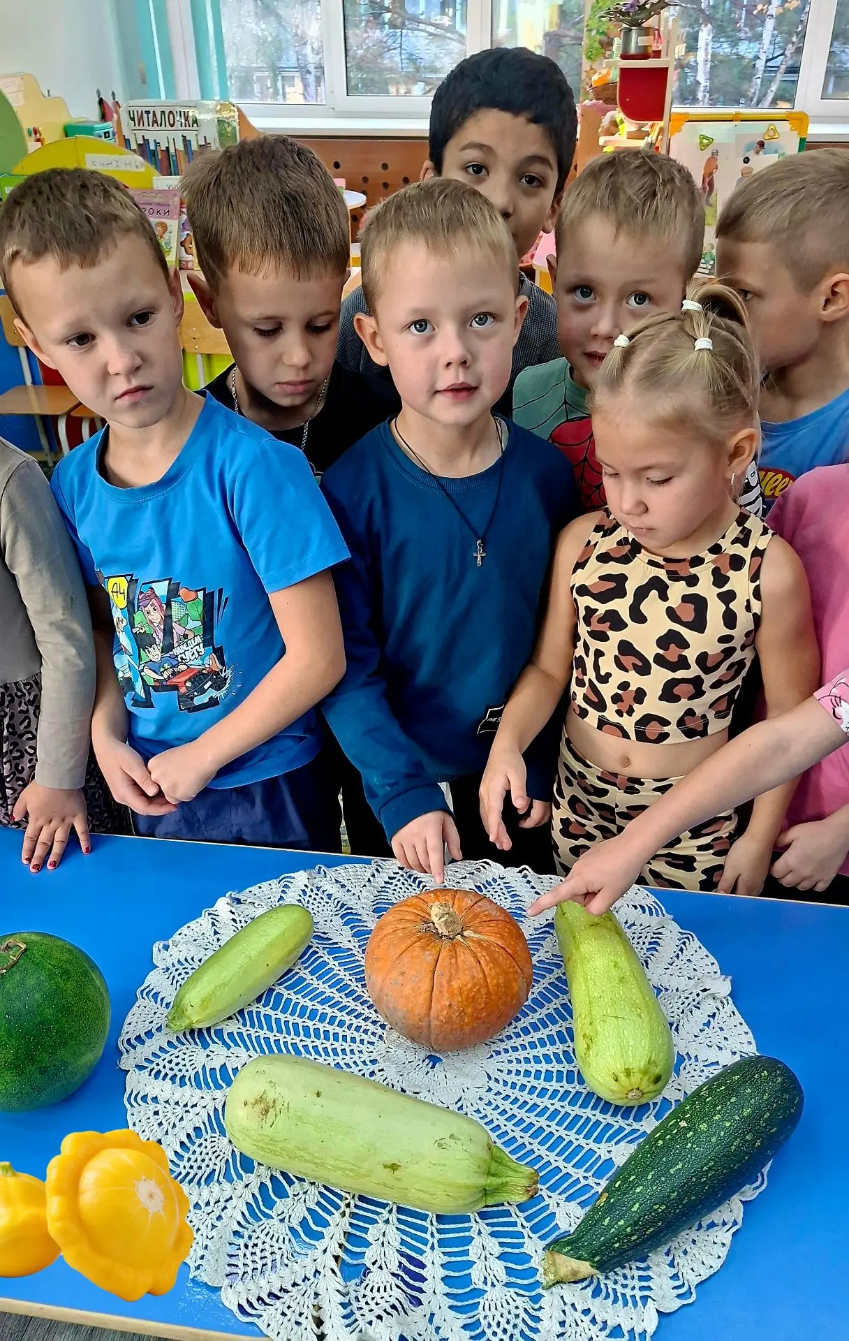 🎃 Наш «тыквенный» проект: от маленького семечка до ярких рисунков!
