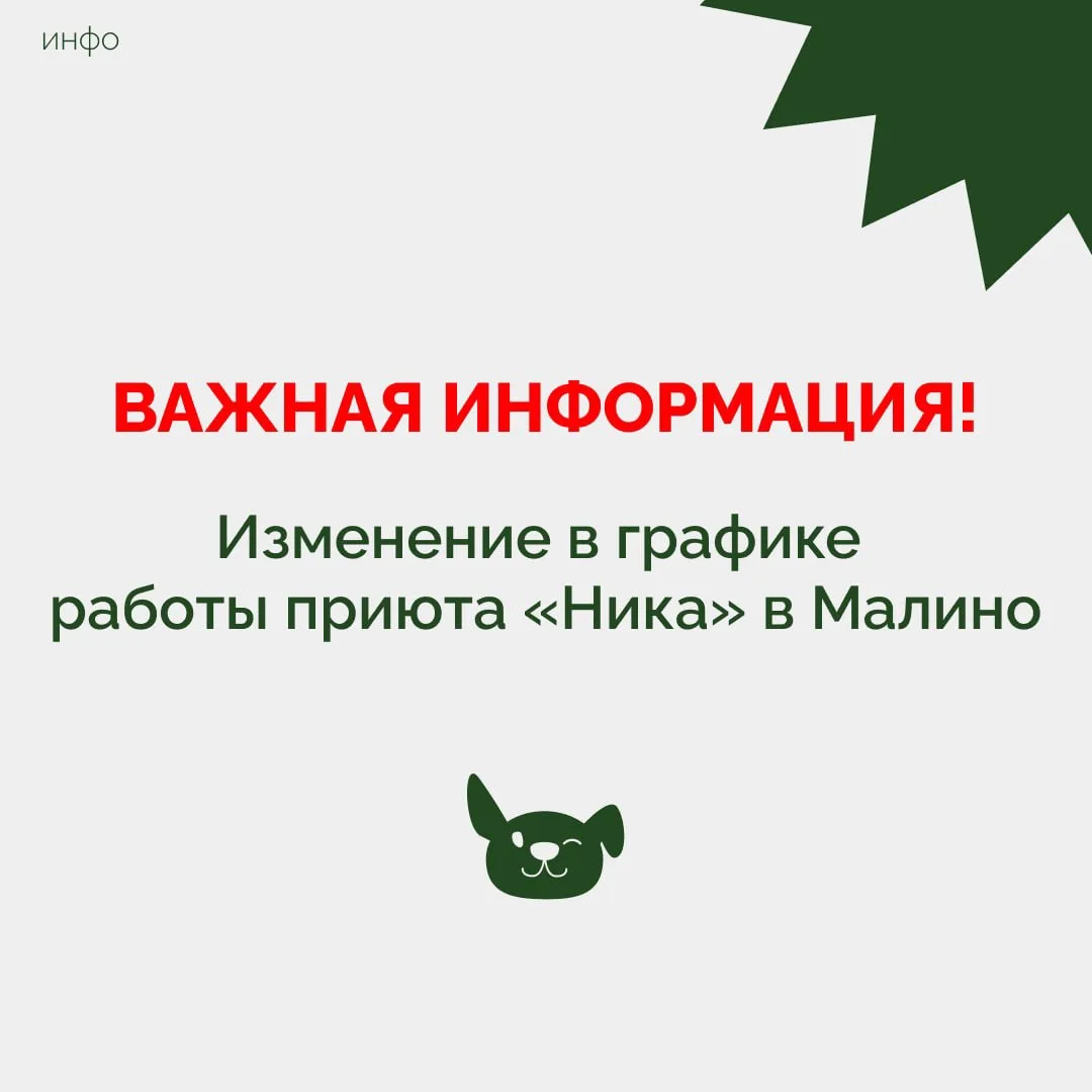 ВАЖНАЯ ИНФОРМАЦИЯ ❗️