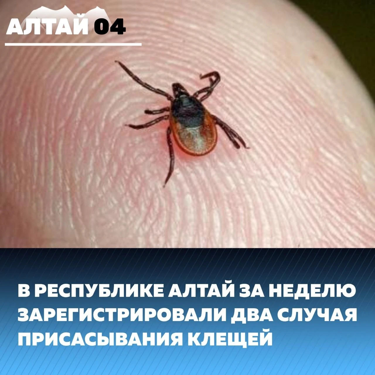 Несмотря на похолодание, опасность сохраняется. За минувшую неделю пострадали два челов...