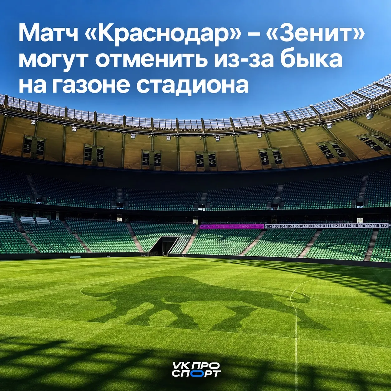 🐂 «Краснодар» рискует нарваться на проблемы из-за быка!