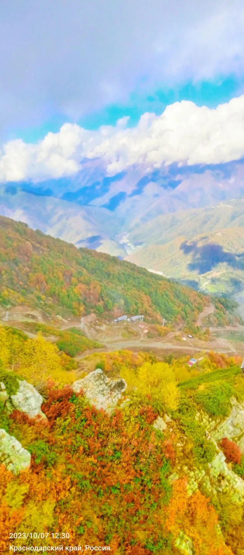 🍁🍂...Один под осень видит увяданье,