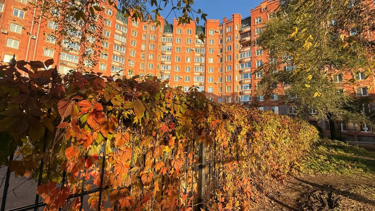 Осень в Уссурийске