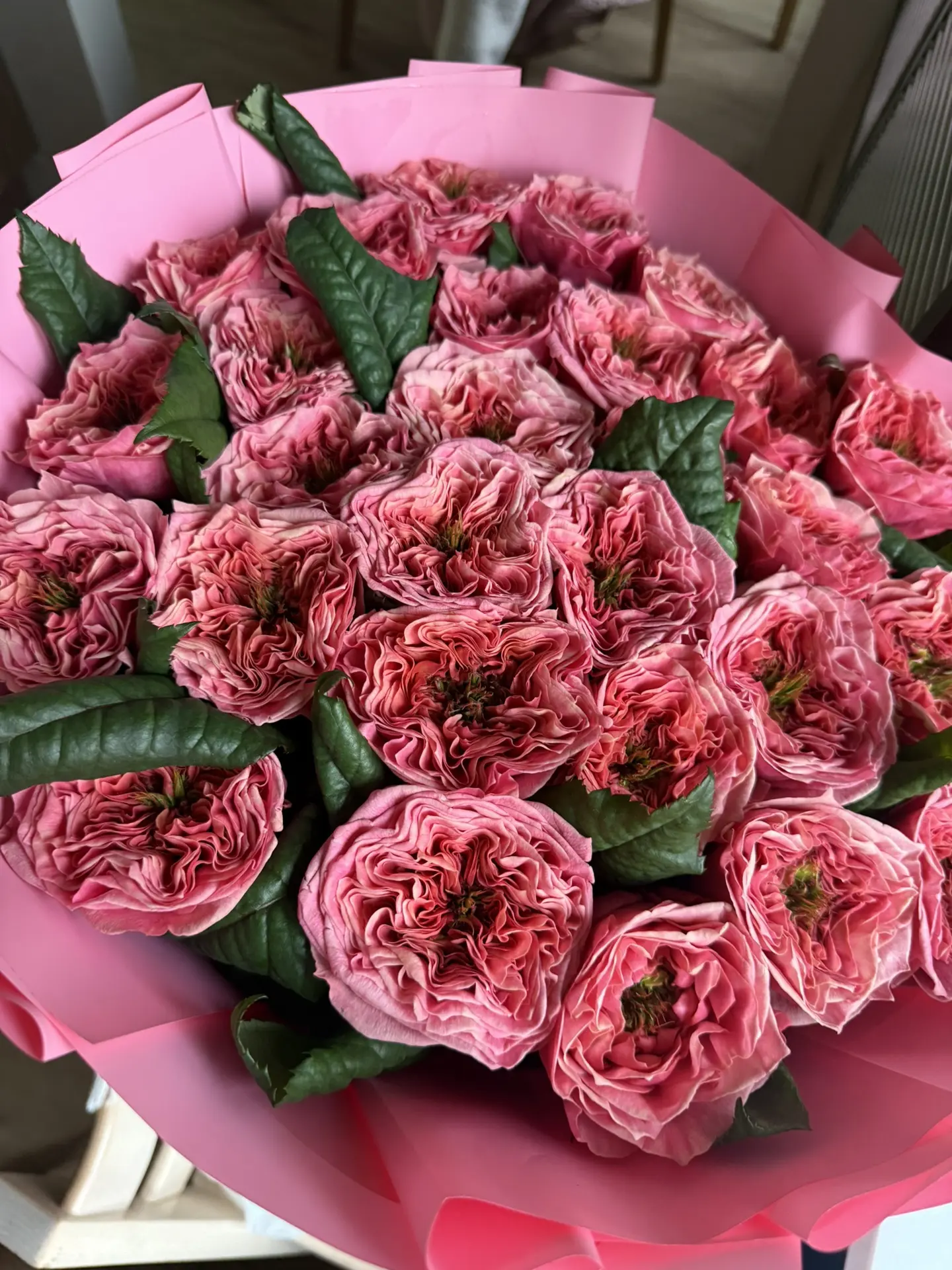 Ааааааай какие красивые 😻🙈💫