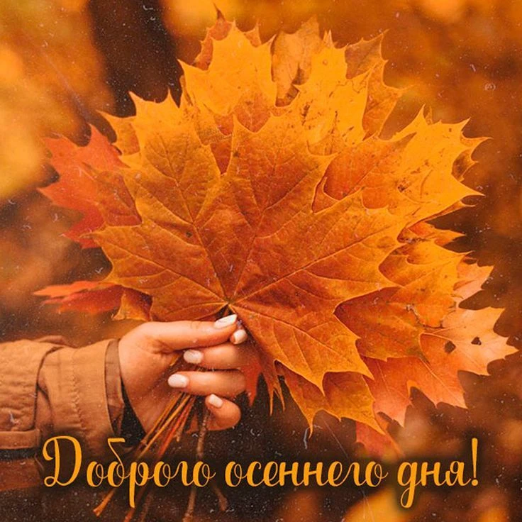 🍁Добрый осенний день, друзья!