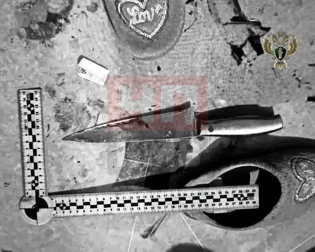 → Жителя Краснозоринского будут судить за убийство знакомого.