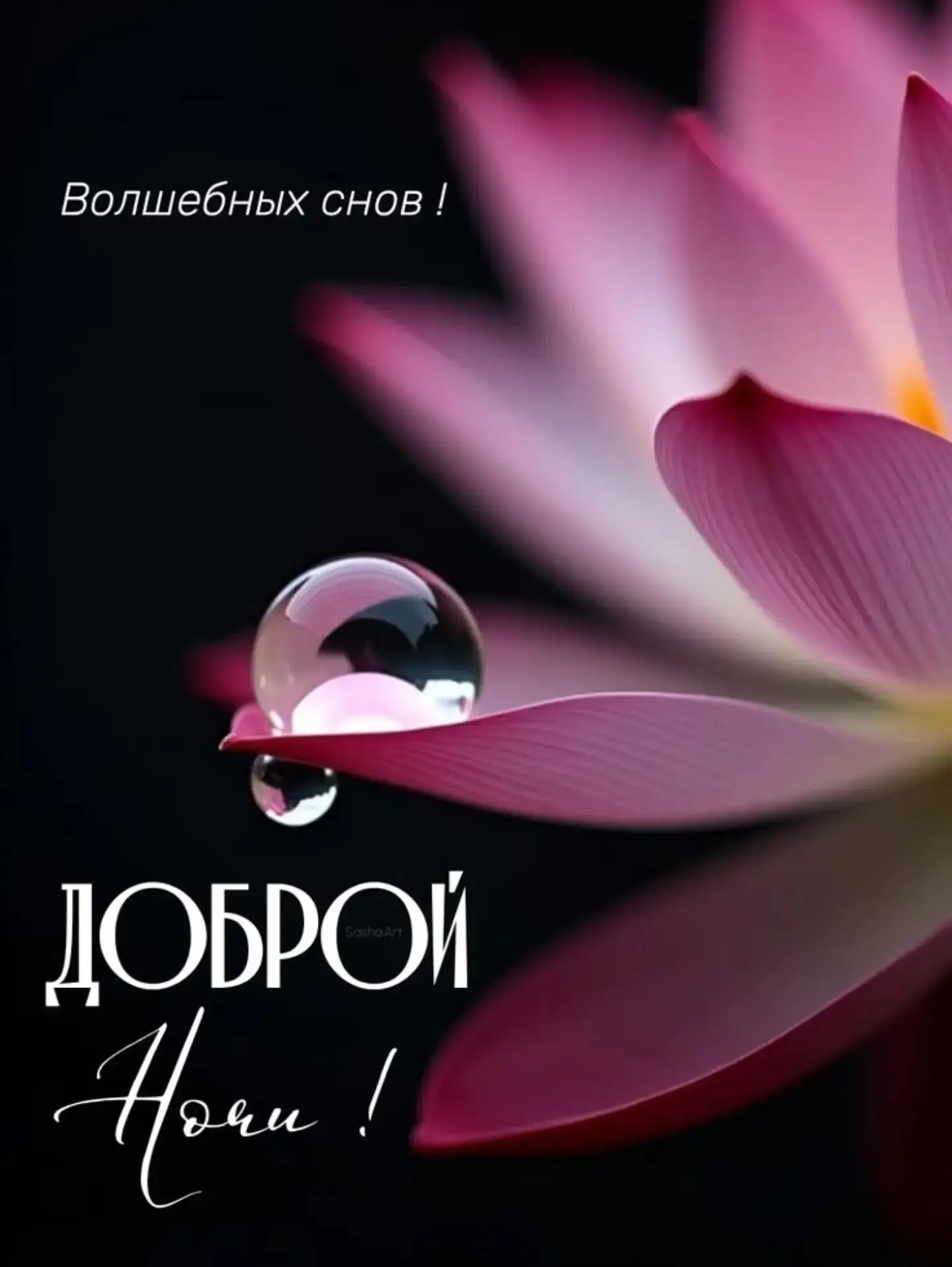 Спокойной ночи!😴