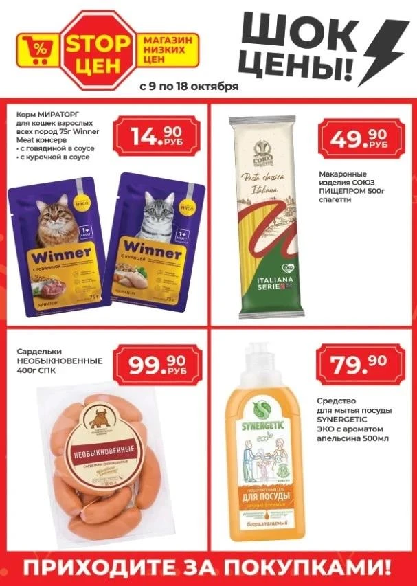 🐱 Кот доволен, хозяйка довольна — и всё благодаря выгодным ценам!