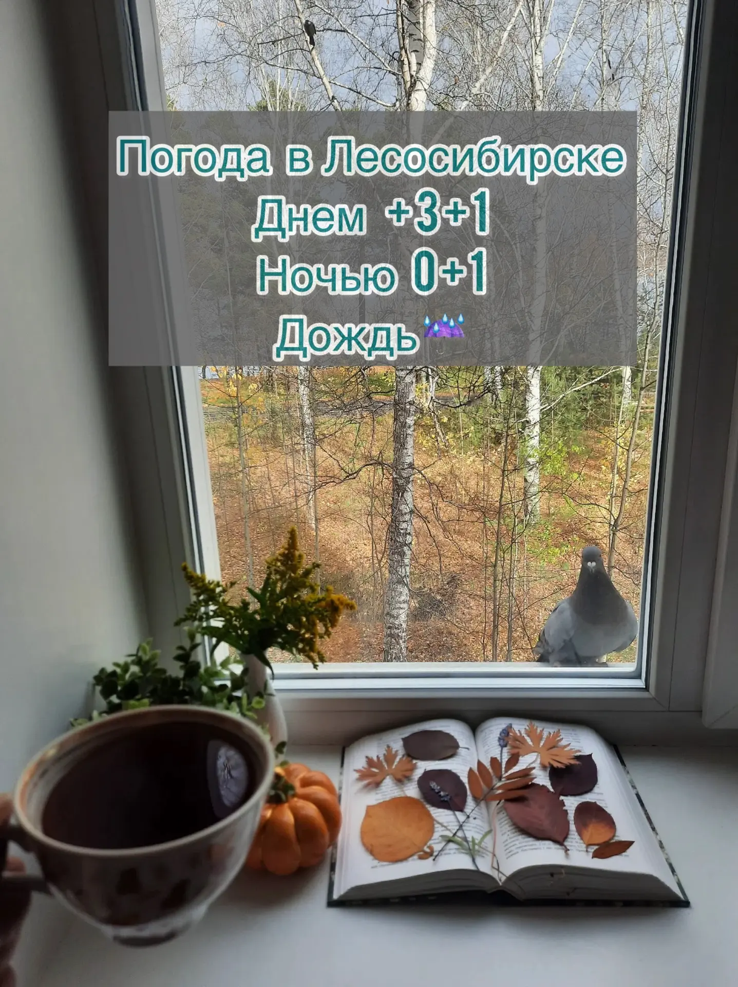 ☀️Доброе утро, друзья!